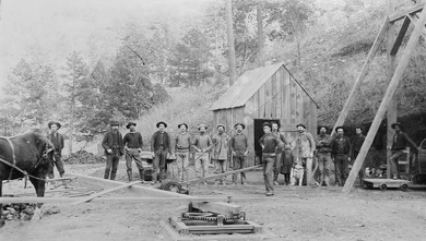 shapeimage_1-56_med_hr